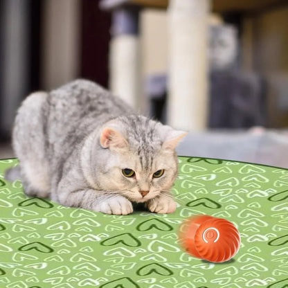Jouet Interactif Pour Chat - stimulez l'instinct de chasse de votre chat avec le jouet interactif 2 en 1 - Rondor