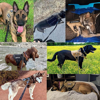 JuJuHarnDress™ Harnais chien idéal pour des promenades sûres et confortables - Rondor