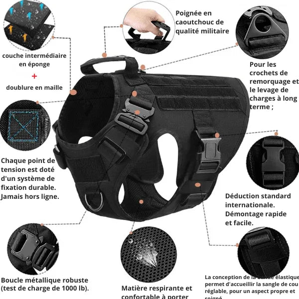 JuJuHarnDress™ Harnais chien idéal pour des promenades sûres et confortables - Rondor