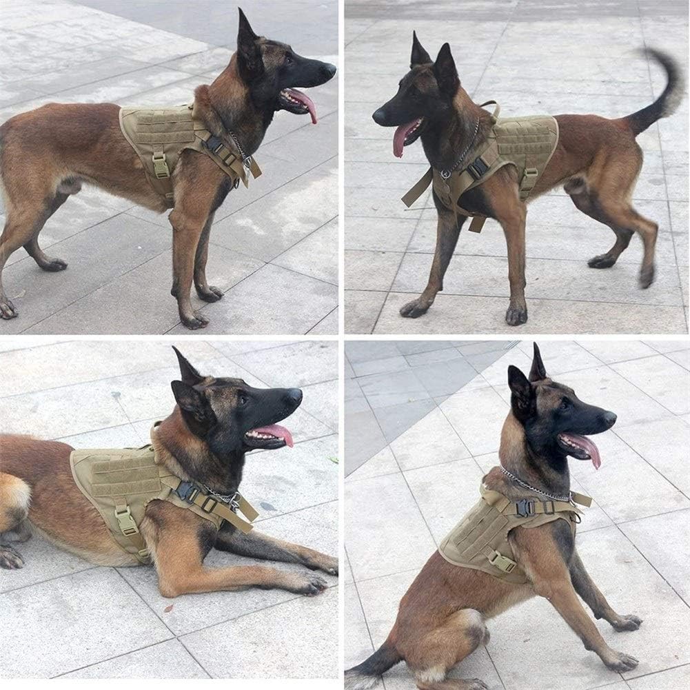 JuJuHarnDress™ Harnais chien idéal pour des promenades sûres et confortables - Rondor