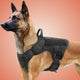 JuJuHarnDress™ Harnais chien idéal pour des promenades sûres et confortables