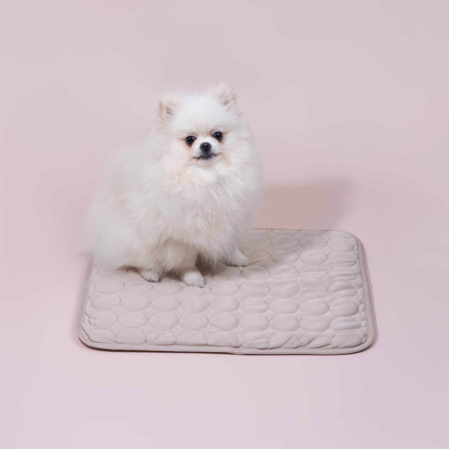 Matelas Rafraîchissant Innovant pour Chiens (4x Puissance de Refroidissement) - ChillComfort