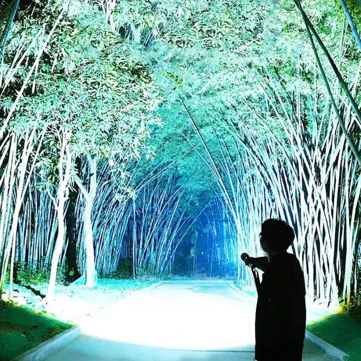 Lampe torche LED ultra - puissante - Rondor