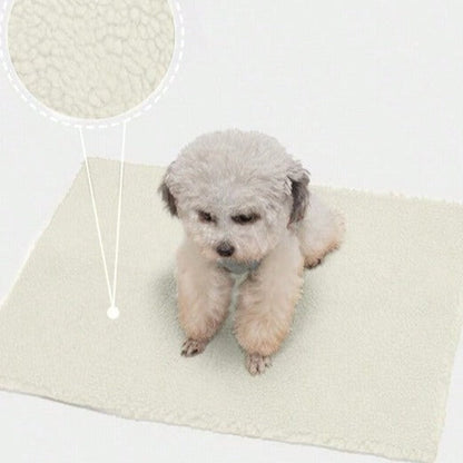 Oreiller thermique douillet pour animaux | Idéal pour les jours d'hiver froids Tapis auto-chauffant conçu pour garder les animaux domestiques au chaud et détendus.