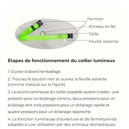 LumiDog™ Collier Lumineux LED pour Chien – Sécurité Nocturne - Rondor