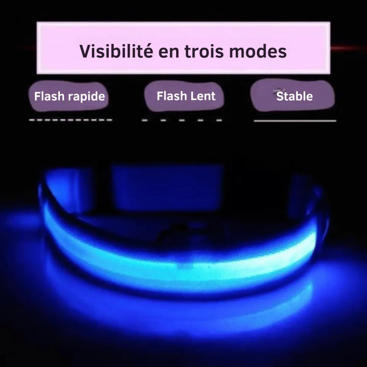 LumiDog™ Collier Lumineux LED pour Chien – Sécurité Nocturne - Rondor