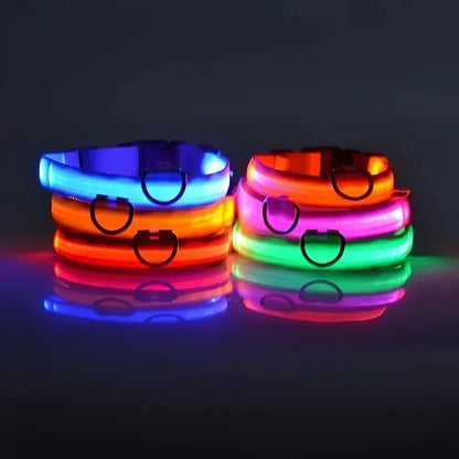 LumiDog™ Collier Lumineux LED pour Chien – Sécurité Nocturne - Rondor