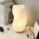LumiTacto™ – Lampe de Table  Dimmable Tactile en Bois Naturel | RONDOR