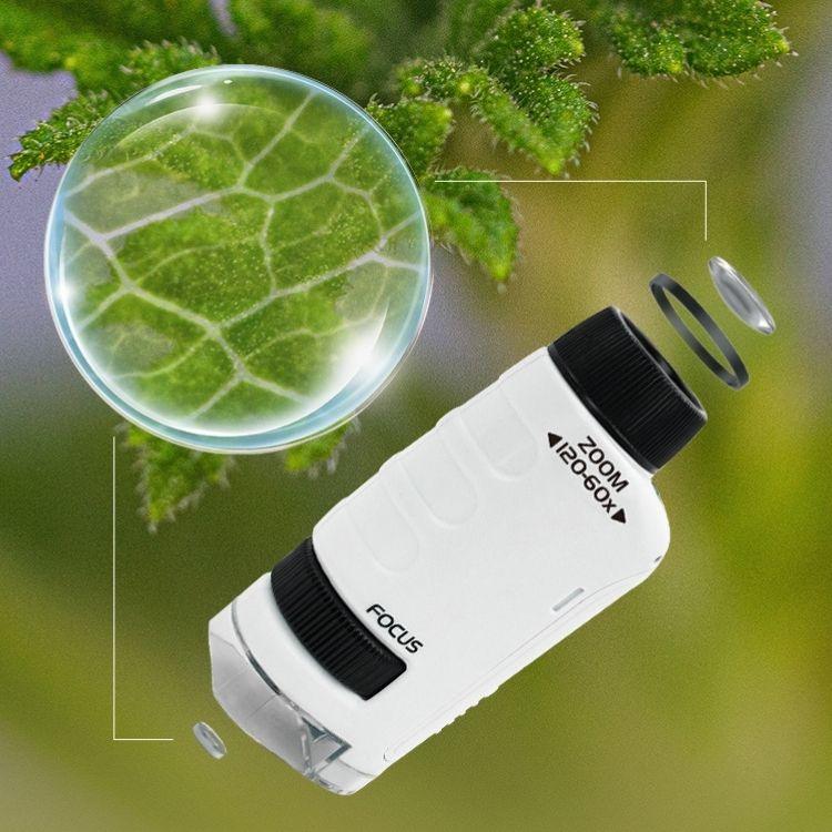 MiniScope™ – Microscope Portable pour Enfant | Zoom 60x à 180x | RONDOR - Rondor