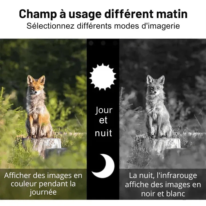 Monoculaire 5X Vision Nocturne avec Caméra HD, Enregistrement Vidéo Chasse - Rondor