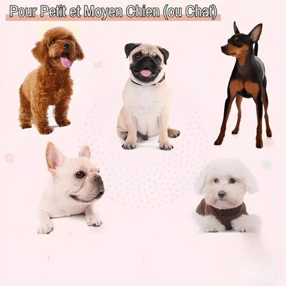 Nettoyeur de Pattes pour Chien (ou Chat) - Rotation Semi Automatique | JuJuCleanPawsSpin™ - Rondor