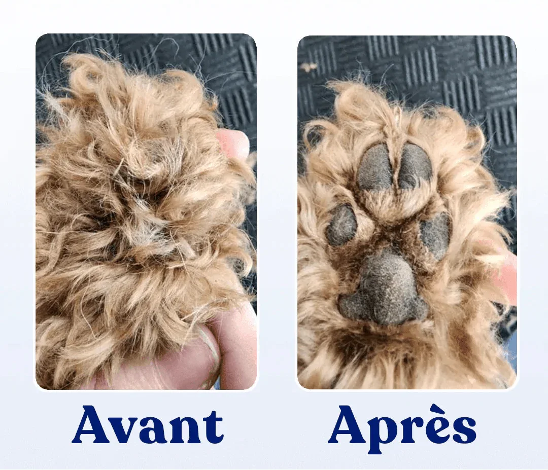 PawClip Pro™ – Tondeuse de précision silencieuse pour chiens et chats - Rondor