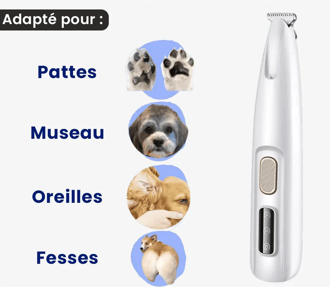 PawClip Pro™ – Tondeuse de précision silencieuse pour chiens et chats - Rondor
