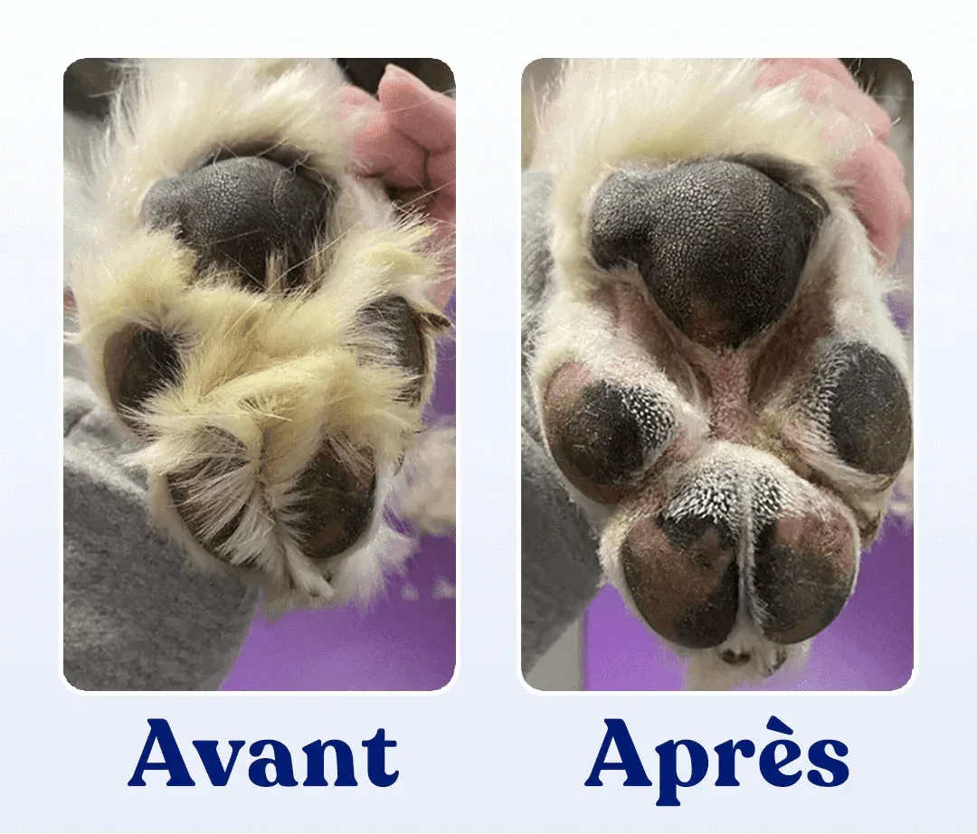 PawClip Pro™ – Tondeuse de précision silencieuse pour chiens et chats - Rondor