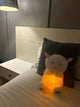 Peluche Teddy Anti-Anxiété™ – Compagnon Lumineux & Musical pour Nuits Paisibles (1 à 6 ans)