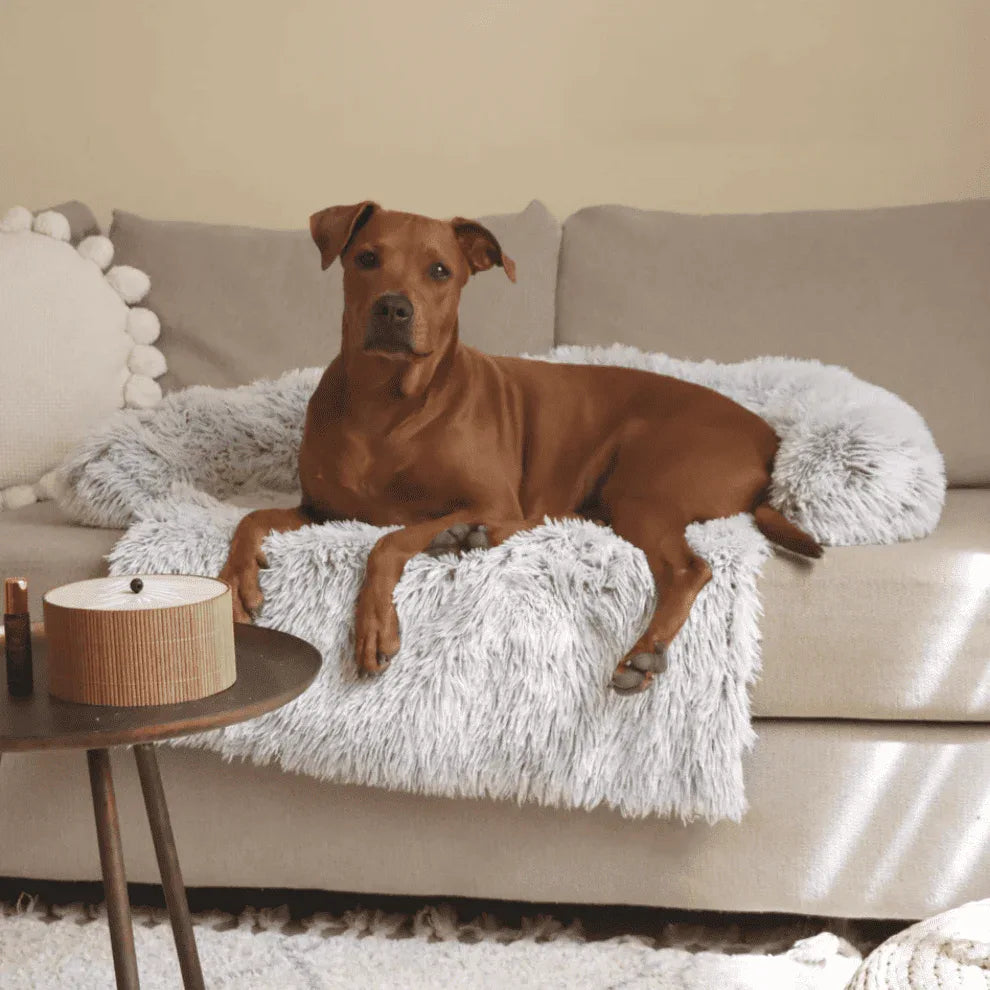 Protège - canapé apaisant pour chiens - Rondor
