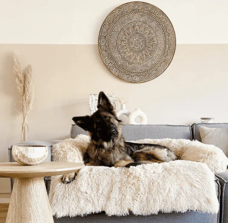Protège - canapé apaisant pour chiens - Rondor