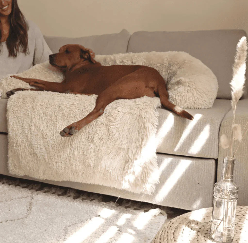 Protège - canapé apaisant pour chiens - Rondor