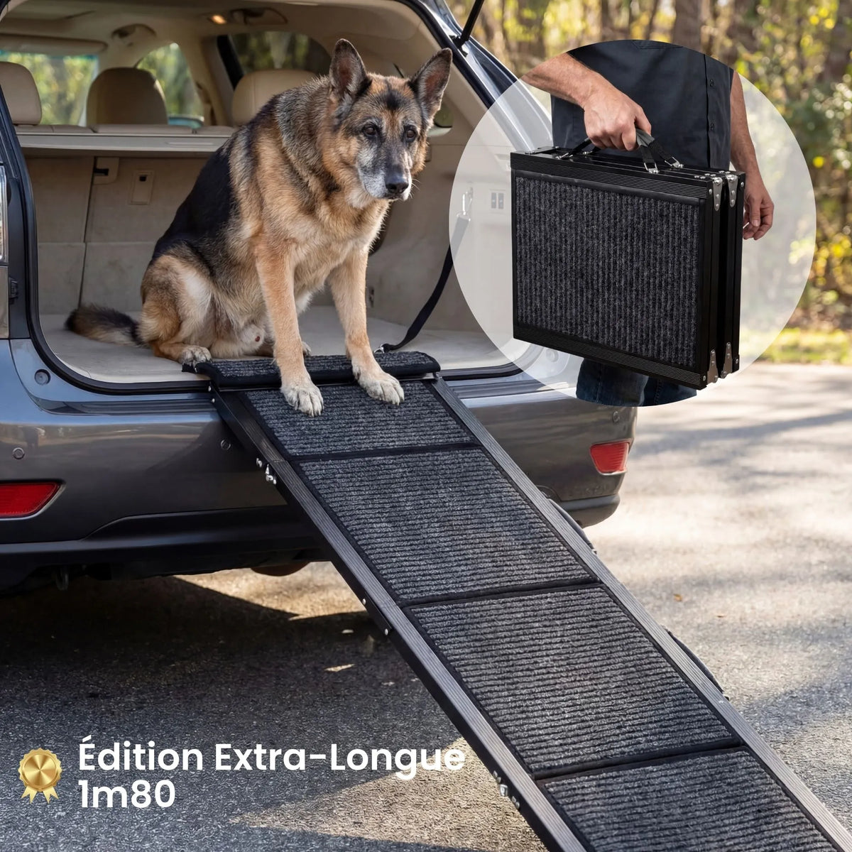 Rampe d'Accès Chien Voiture Premium en Aluminium - Pliable & Supporte 115kg (Anti-Arthrose)