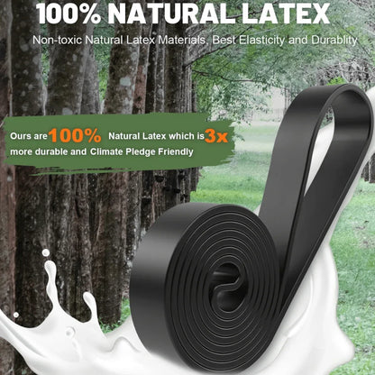 Resistforce™ – Bandes Élastiques pour Tractions, Musculation & Renforcement - Rondor