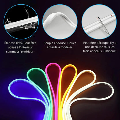 Ruban Néon LED Flexible Design Ondulé RGBIC - Rondor