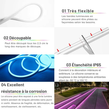 Ruban Néon LED Flexible Design Ondulé RGBIC - Rondor