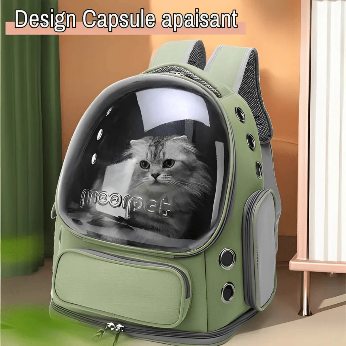 Sac à Dos pour Chat - Bulle Transparente | JuJuCatPack™ - Rondor