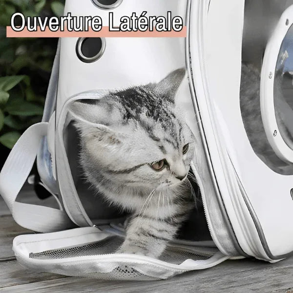 Sac à Dos pour Chat - Grande fenêtre (Avec ou sans Bulle) | JuJuViewBag™ - Rondor
