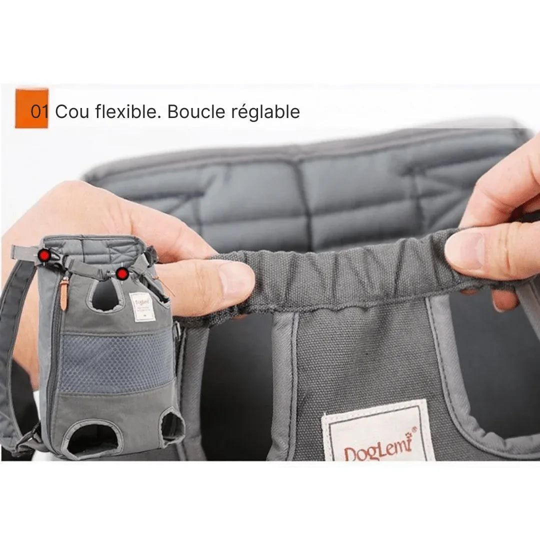 SacPorto - Sac à Dos pour Chien - Sac de Transport - Voyage - Rondor