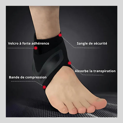Sécurfit™ - Chevillère de protection - Rondor