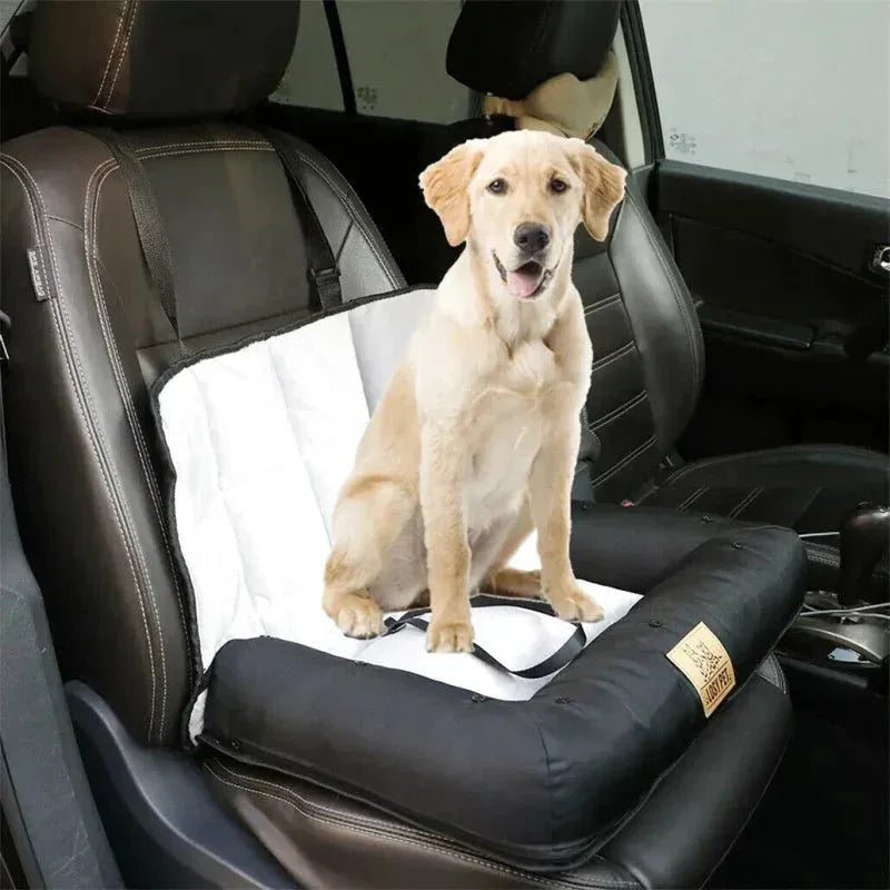 Siège Auto Chien Moyen - Rondor