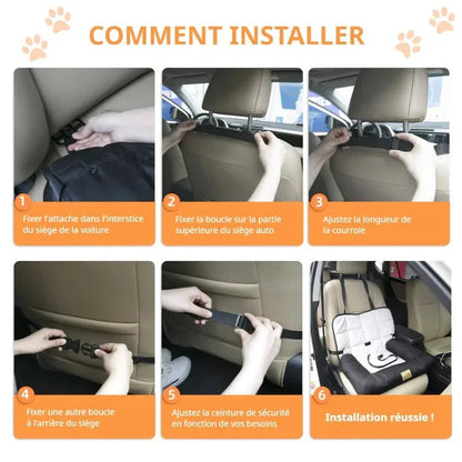 Siège Auto Chien Moyen - Rondor