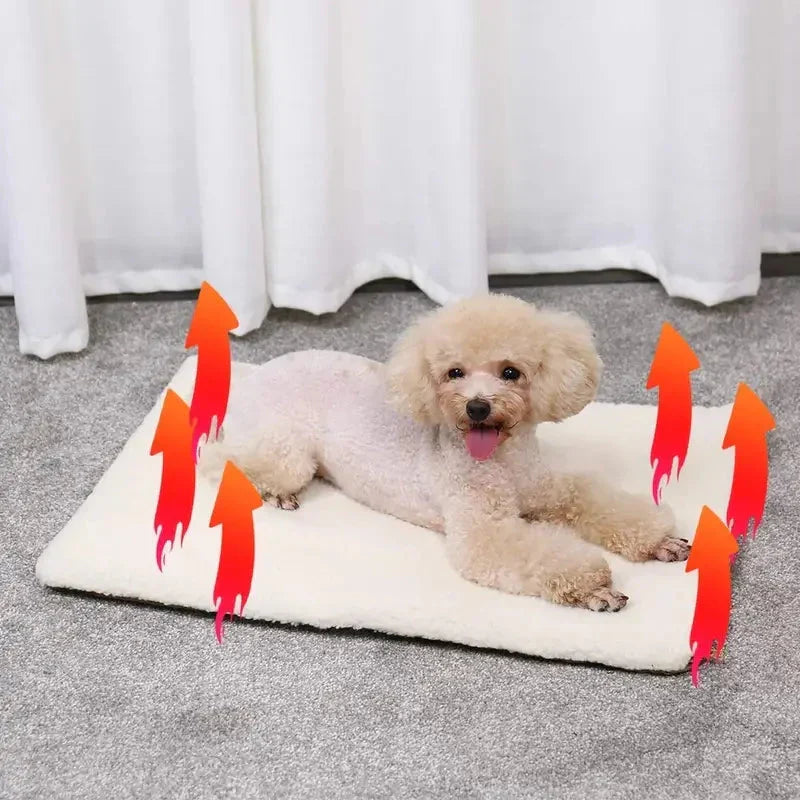 Oreiller thermique douillet pour animaux | Idéal pour les jours d'hiver froids Tapis auto-chauffant conçu pour garder les animaux domestiques au chaud et détendus.