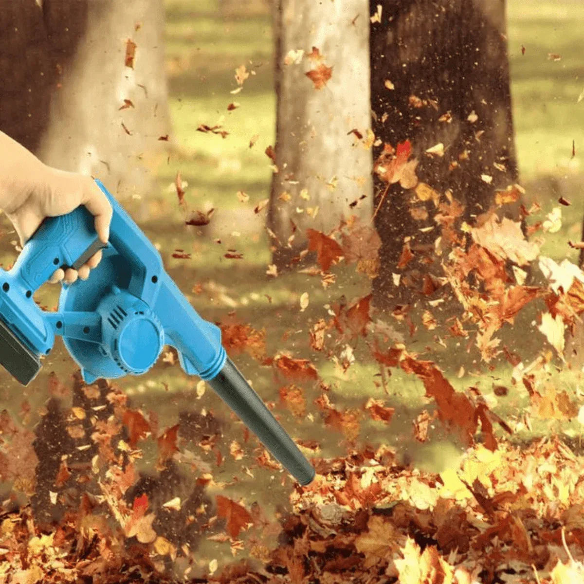 Souffleur - Aspirateur Sans Fil: Jardin Propre Facilement - Rondor
