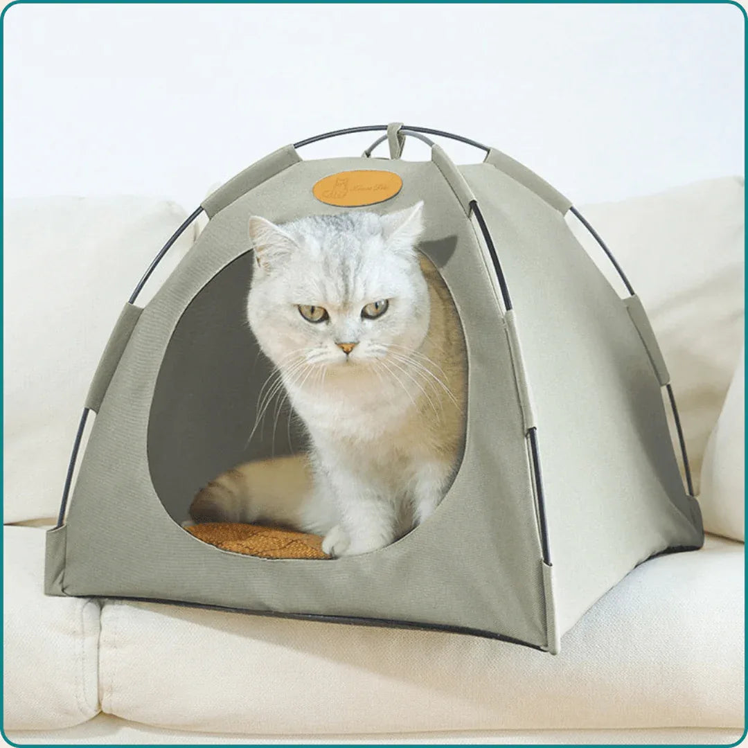 Tente rafraîchissante pour chats haut de gamme - Rondor