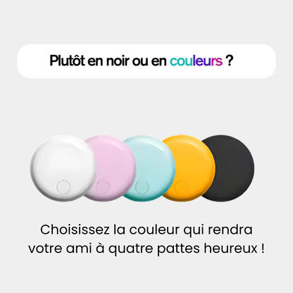 Traceur GPS pour Chat de Compagnie - Rondor - ANDROID / iOS - Rondor