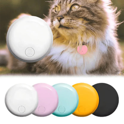 Traceur GPS pour Chat de Compagnie - Rondor - ANDROID / iOS - Rondor