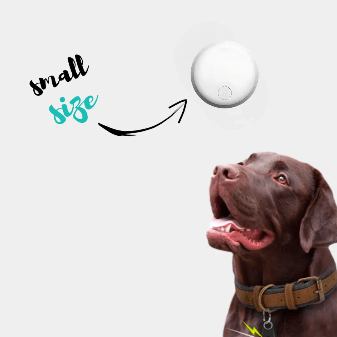Traceur GPS pour Chien 3 en 1 - Rondor - ANDROID / iOS - Rondor