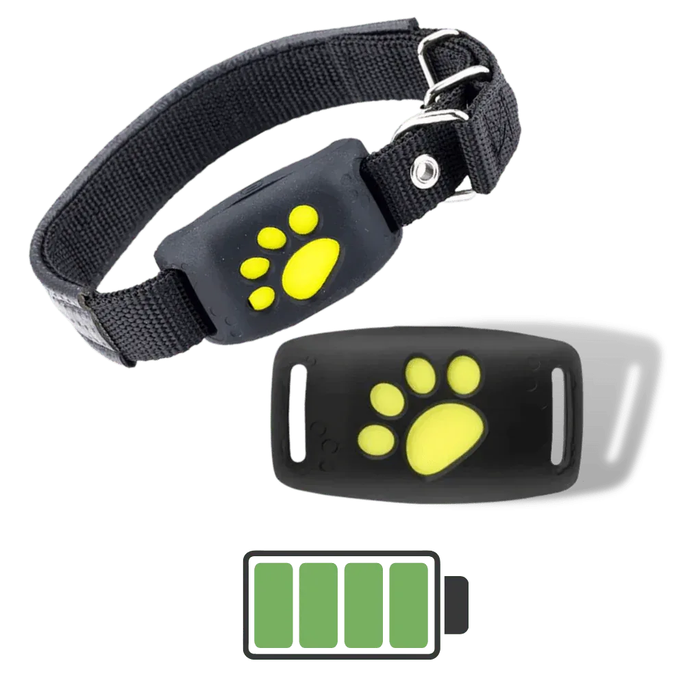 TrackMyCat™ - Dispositif de localisation de traqueur GPS Cat pour animaux de compagnie - Rondor
