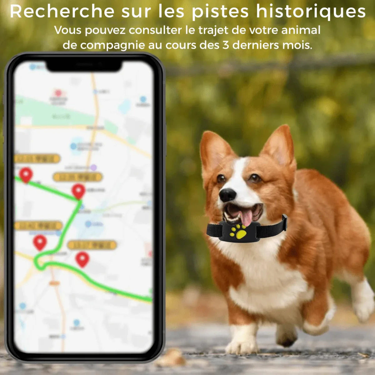 TrackMyCat™ - Dispositif de localisation de traqueur GPS Cat pour animaux de compagnie - Rondor