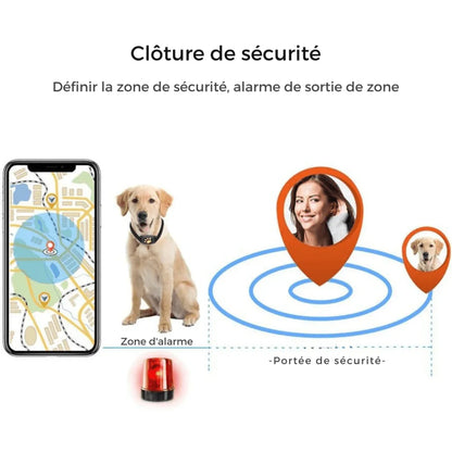 TrackMyCat™ - Dispositif de localisation de traqueur GPS Cat pour animaux de compagnie - Rondor