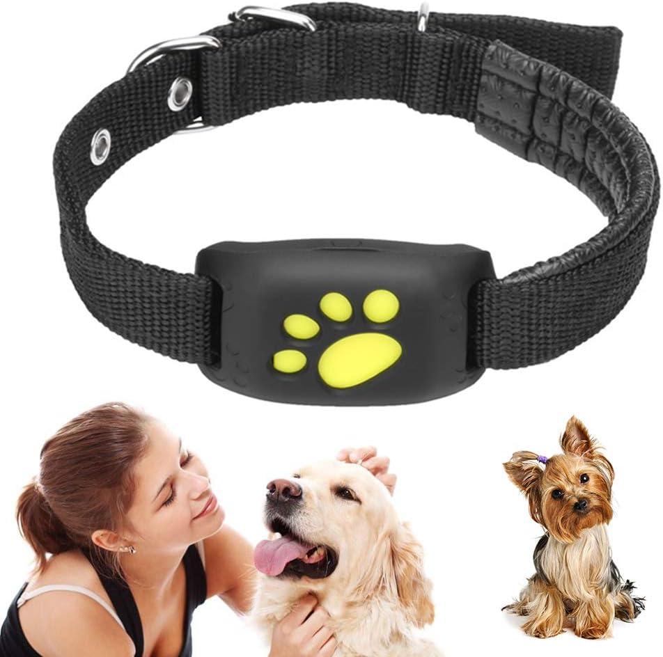 TrackMyCat™ - Dispositif de localisation de traqueur GPS Cat pour animaux de compagnie - Rondor