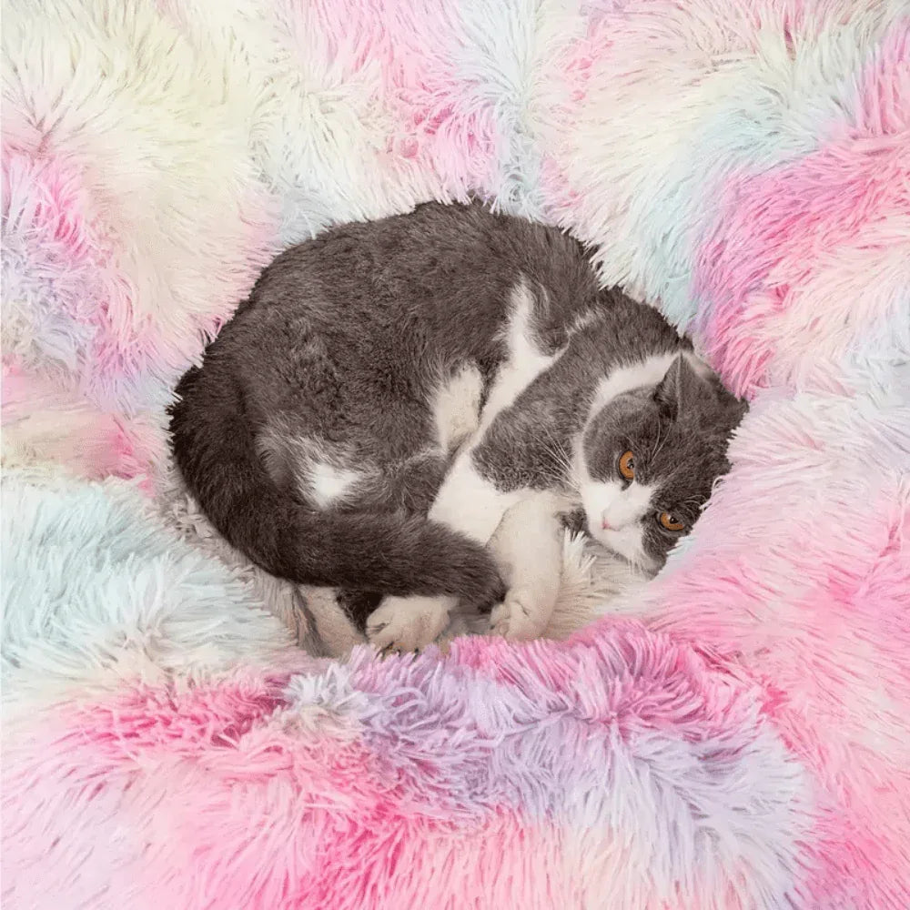Tunnel pliable en peluche chaud pour chats et petits animaux - Rondor