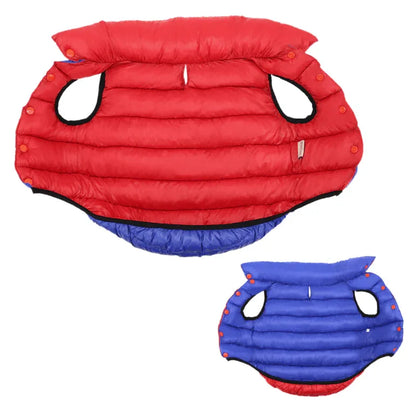 Veste D'extérieur Coupe - Vent Et Imperméable pour chien - Rondor