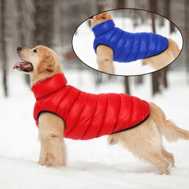 Veste D'extérieur Coupe - Vent Et Imperméable pour chien - Rondor