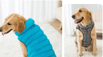 Veste D'extérieur Coupe - Vent Et Imperméable pour chien - Rondor