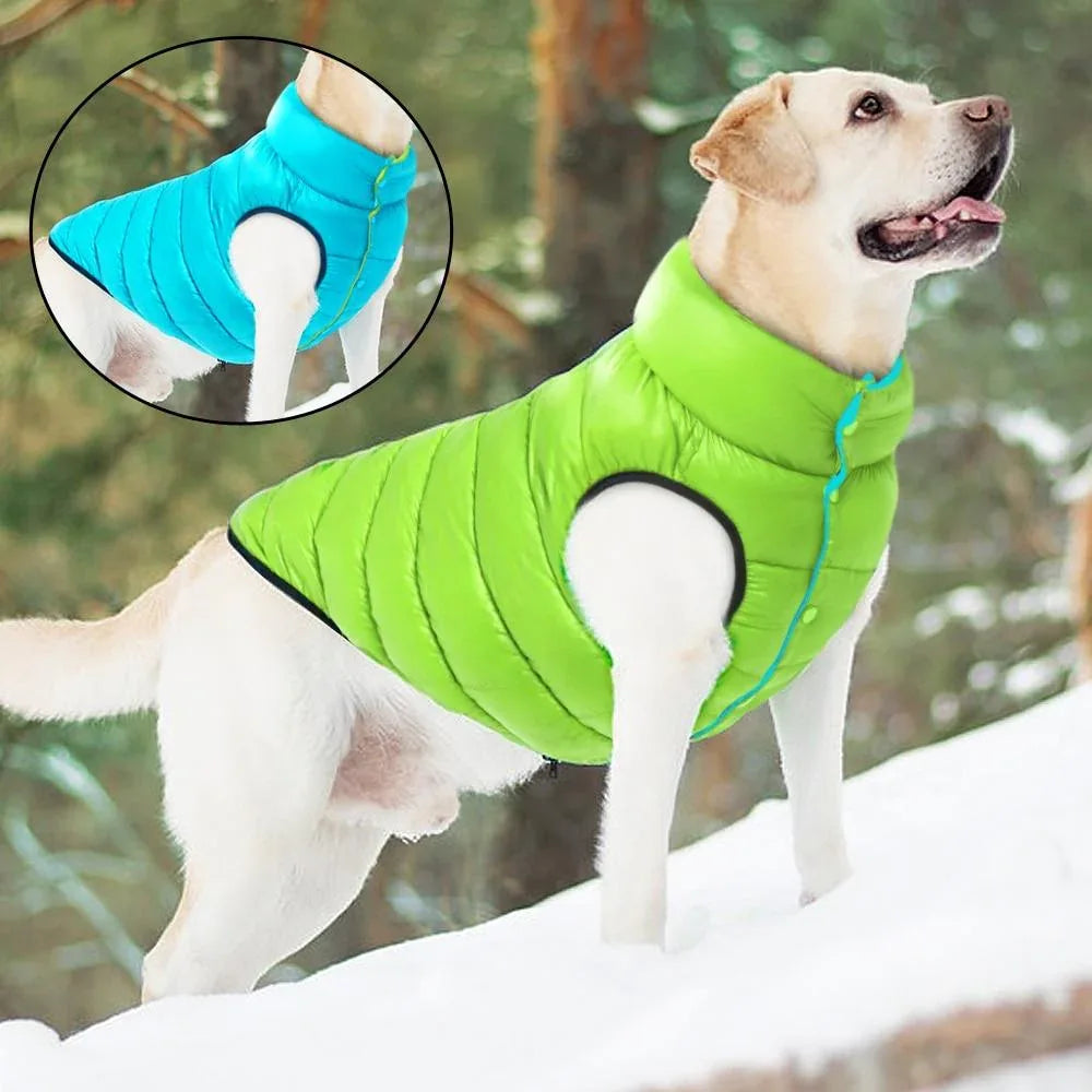 Veste D'extérieur Coupe - Vent Et Imperméable pour chien - Rondor