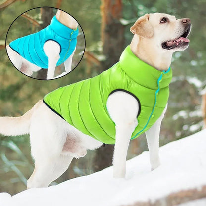 Veste D'extérieur Coupe - Vent Et Imperméable pour chien - Rondor