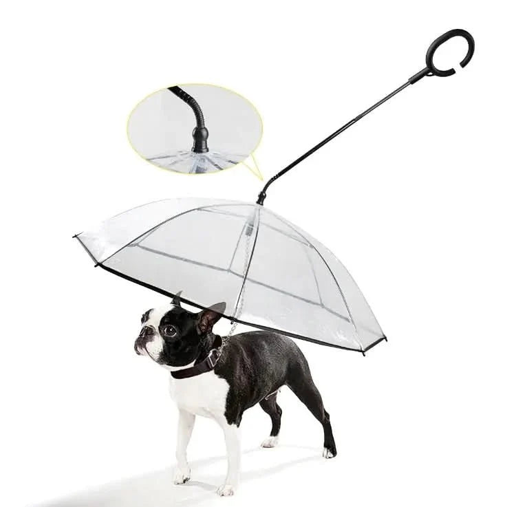 Ringuard Umbrella - Parapluie transparent pour chiens
